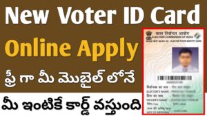 New Voter Registration Process