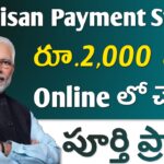 Pm Kisan Payment Status